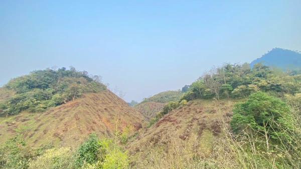 Chiến dịch trồng 30.000 cây xanh tại Hòa Bình nhằm hướng tới mục tiêu phục hồi 50 ha rừng tự nhiên tại địa phương này. (Ảnh: PanNature)