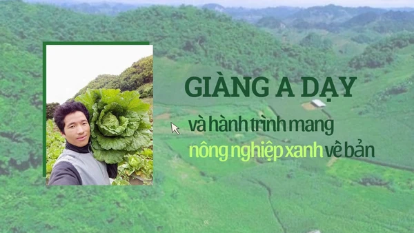 Giàng A Dạy và hành trình mang nông nghiệp xanh về bản