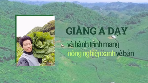 Giàng A Dạy và hành trình mang nông nghiệp xanh về bản
