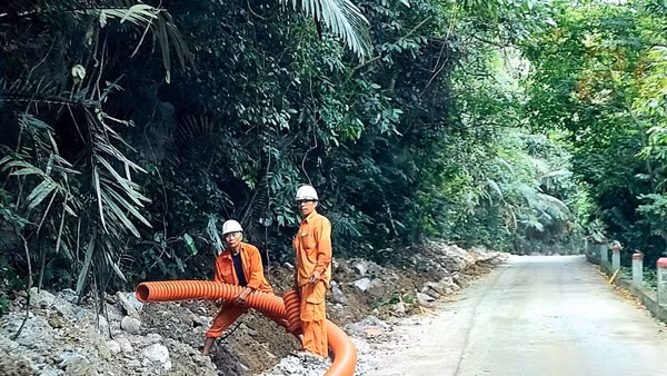 Thi công đường dây trung áp đi ngầm qua vùng lõi Vườn quốc gia Phong Nha-Kẻ Bàng.