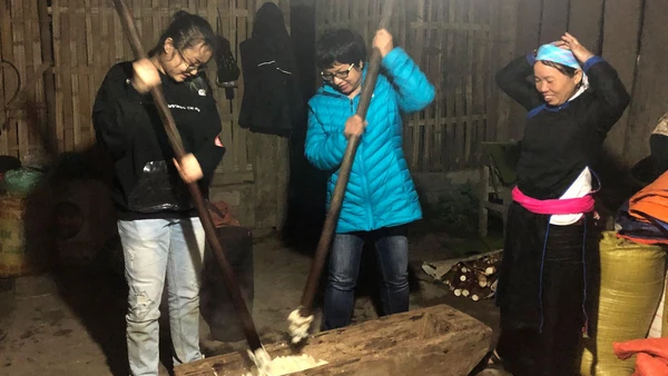 Du khách trải nghiệm giã bánh dày ở Bản Liền (Bắc Hà, Lào Cai).