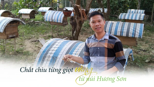 Chắt chiu giọt vàng từ núi Hương Sơn