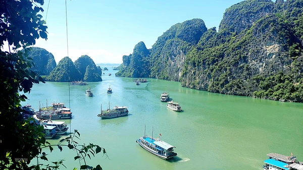 Hành trình đưa “vàng ròng” sá sùng vào nước mắm Vân Đồn 