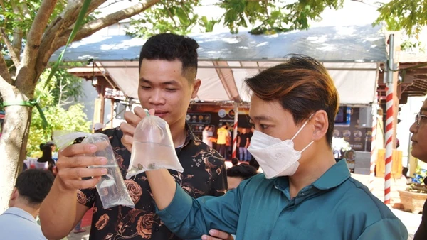 Người dân thành phố Mỹ Tho (Tiền Giang) lựa chọn cho mình những con cá bảy màu ưng ý tại cuộc thi.