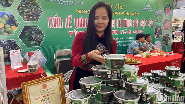 Thạch đen Hồng Nhung, Lạng Sơn, sản phẩm OCOP 3 sao. (Ảnh: NGỌC KHÁNH)