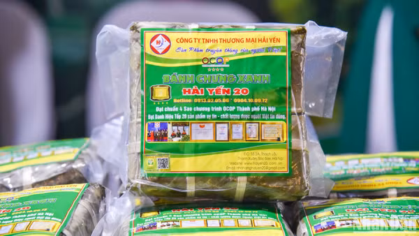 Bánh chưng xanh Hải Yến, Sóc Sơn, Hà Nội, sản phẩm OCOP 4 sao. (Ảnh: NHẬT QUANG)