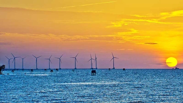 Điện gió ở Bạc Liêu. (Ảnh LÊ NGUYỄN)