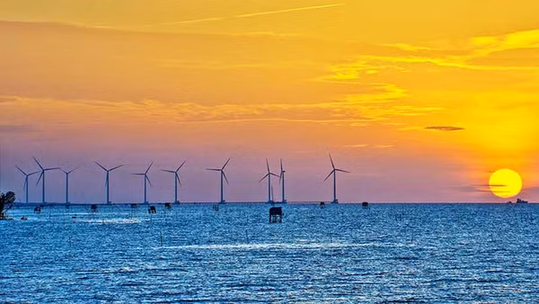 Điện gió ở Bạc Liêu. (Ảnh LÊ NGUYỄN)