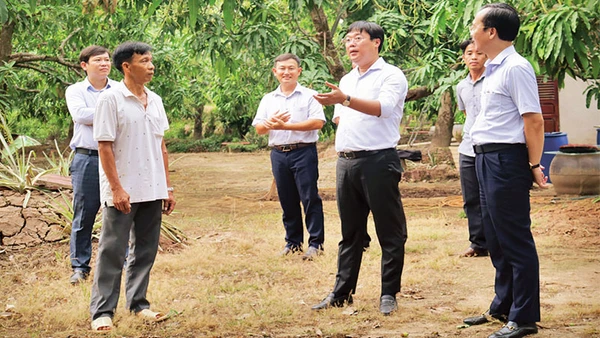 Bí thư Tỉnh ủy Đồng Tháp Lê Quốc Phong tham quan mô hình Cây xoài nhà tôi tại phường 6, thành phố Cao Lãnh, tỉnh Đồng Tháp