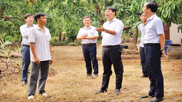 Bí thư Tỉnh ủy Đồng Tháp Lê Quốc Phong tham quan mô hình Cây xoài nhà tôi tại phường 6, thành phố Cao Lãnh, tỉnh Đồng Tháp