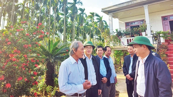 Bí thư Huyện ủy Triệu Phong Trần Xuân Anh (bên phải) cùng lãnh đạo huyện thăm khu vườn mẫu của ông Đào Xá (bên trái) ở thôn Bích Khê, xã Triệu Long.