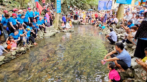 Suối cá Cẩm Lương, huyện Cẩm Thủy (Thanh Hóa) là điểm hấp dẫn khách du lịch.