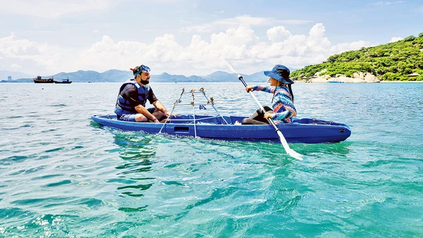 Khách du lịch tham gia hoạt động trồng san hô tại vịnh Ninh Vân. (Ảnh: Six Senses Ninh Van Bay)