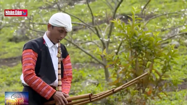 Về Mộc Châu nghe tiếng khèn gọi Xuân