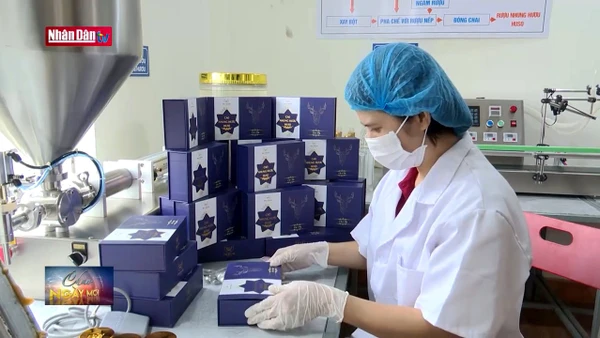 Đa dạng sản phẩm OCOP phục vụ thị trường Tết