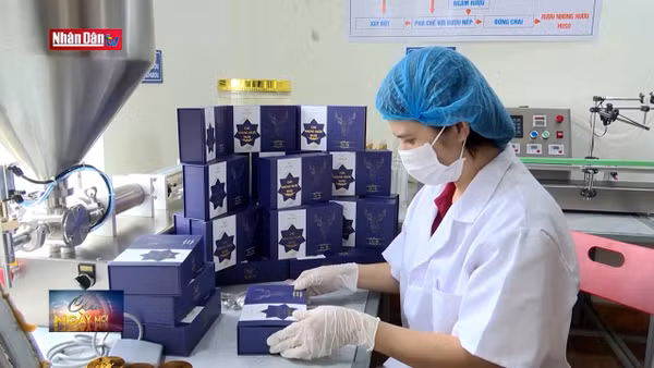 Đa dạng sản phẩm OCOP phục vụ thị trường Tết