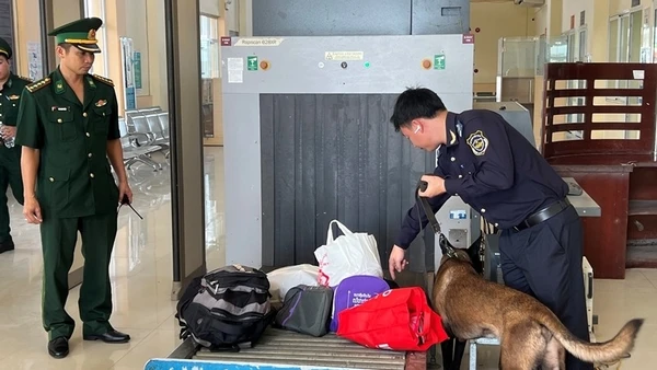 Việc siết chặt kiểm soát đối với các mặt hàng và địa bàn trọng điểm được Chi cục Điều tra chống buôn lậu triển khai thường xuyên. (Ảnh: MINH PHƯƠNG)