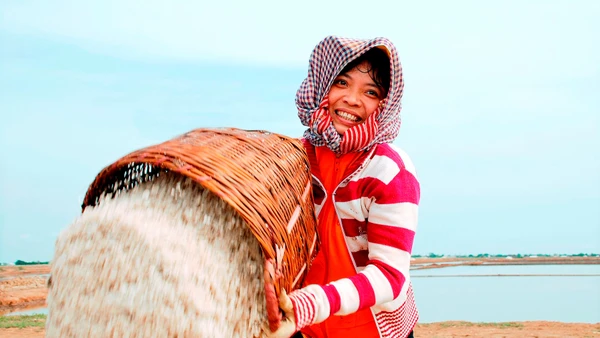 Những bông hoa muối nhen lên niềm hy vọng về một mùa bội thu.