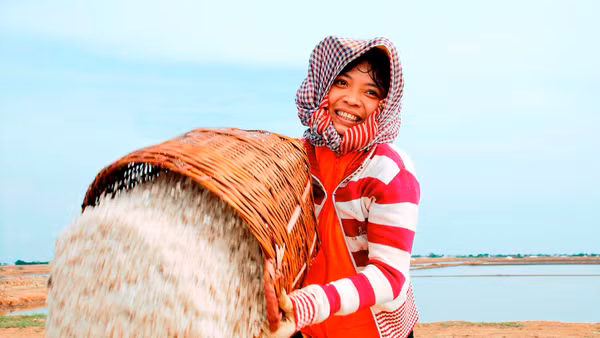 Những bông hoa muối nhen lên niềm hy vọng về một mùa bội thu.