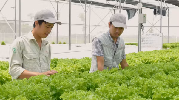 Sản xuất xanh, sản xuất sạch, ít phác thải đã trở thành xu thế không thể đảo ngược, gắn liền với nỗ lực giảm phát thải, phát triển bền vững của Việt Nam. 