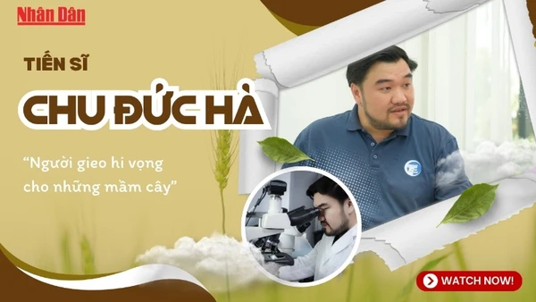 Tiến sĩ Chu Đức Hà - Người gieo hy vọng cho những mầm cây