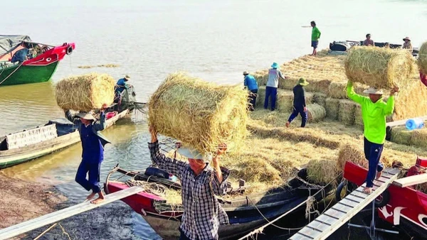 Chợ rơm tạo việc làm cho hàng chục lao động địa phương.