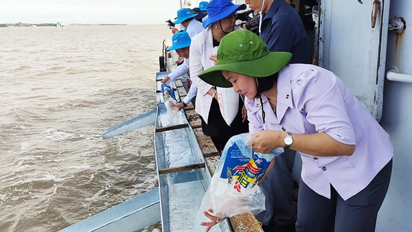 Sóc Trăng thả hơn 1,5 triệu con tôm giống ra biển.
