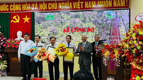 Lễ công nhận cây di sản Việt Nam.