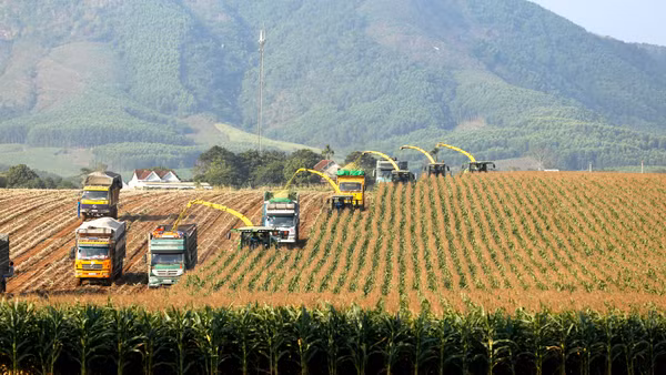 Công nghệ cao và dữ liệu - Tư liệu sản xuất mới trong kỷ nguyên số