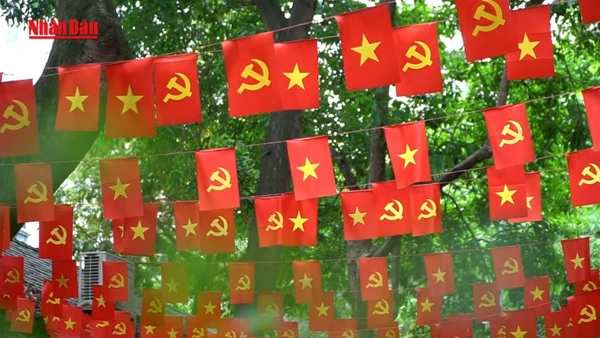 [Video] Nghề "giữ hồn" lá cờ Tổ quốc