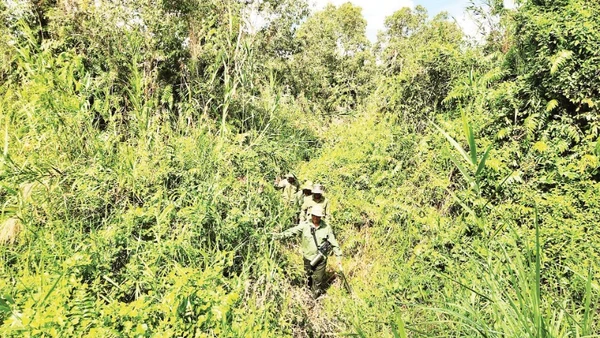 Lực lượng bảo vệ rừng của Vườn Quốc gia U Minh Thượng tuần tra.