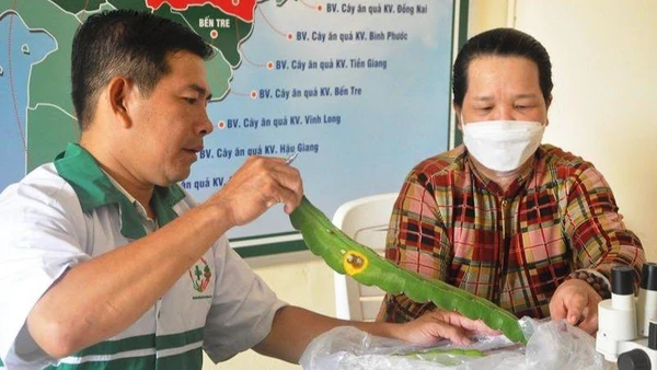 Những "bác sĩ" bắt bệnh cho cây trồng