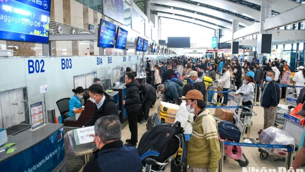 Tạm hoãn xuất cảnh đối với Chủ tịch Hội đồng quản trị Công ty cổ phần Sunbay Ninh Thuận