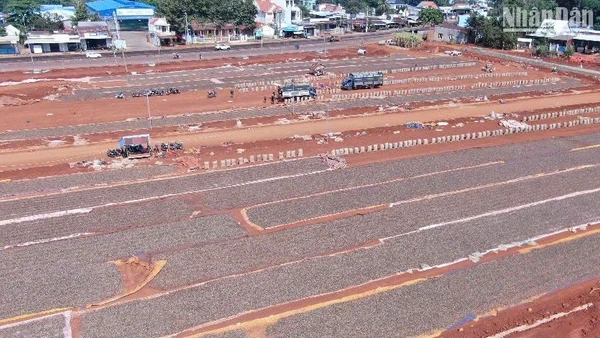 Doanh nghiệp tận dụng khoảng đất trống làm sân phơi điều.