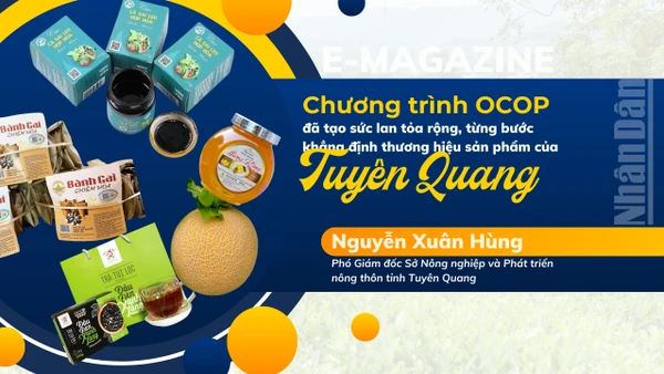 Chương trình OCOP đã tạo sức lan tỏa rộng, từng bước khẳng định thương hiệu sản phẩm của Tuyên Quang