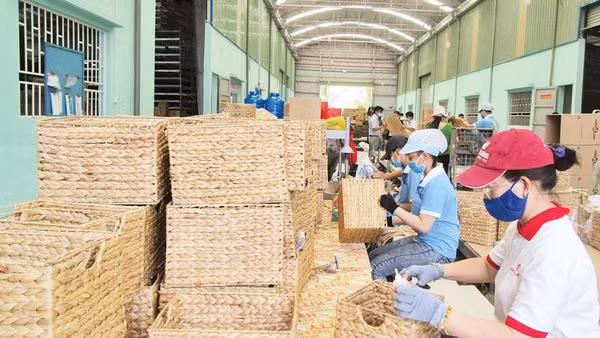 Sản phẩm thủ công mỹ nghệ làm từ lục bình của Tây Ninh đã bước ra thị trường thế giới.