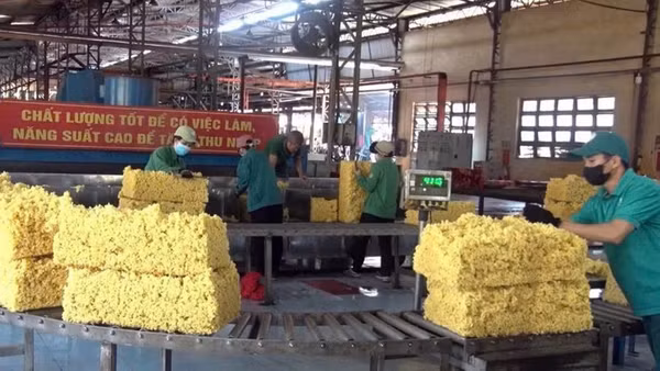 Chế biến mủ cao-su tại Công ty TNHH một thành viên Cao-su Chư Păh.