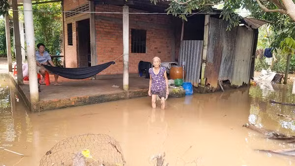Xung quanh căn nhà bà Nguyễn Thị Hoa ở xã An Bình, tỉnh Vĩnh Long bị ngập do triều cường. 