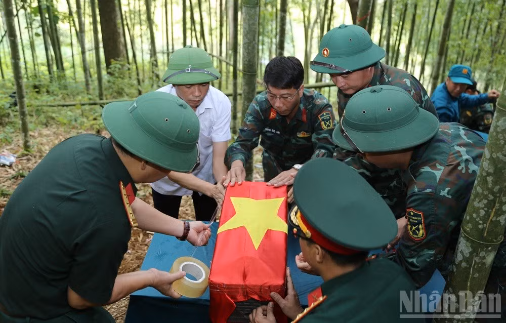 ndo_br_anh-3.jpg