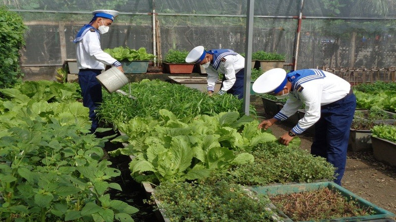 Chiến sĩ chăm sóc rau xanh trên các đảo. (Ảnh: PHONG NGUYÊN) anh-3.jpg