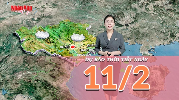 Khối không khí lạnh gây mưa xuân và sương mù tại Bắc Bộ, nhiều khu vực có mưa trái mùa