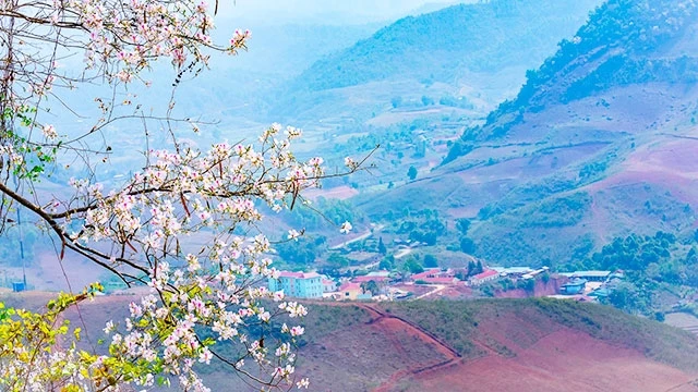 Xuân về Mường Luân.