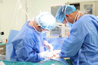 Bác sĩ tiến hành ghép gan cho người bệnh.