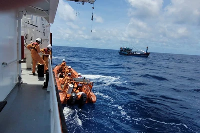 Lực lượng cứu nạn hàng hải tiếp cận tàu cá BĐ 96774 TS và vận chuyển nạn nhân lên tàu SAR 631.