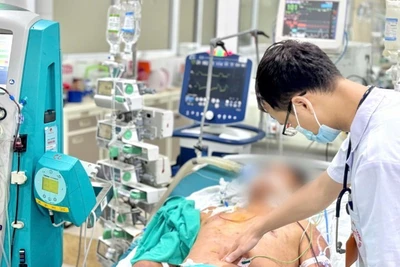 Bệnh nhân mắc liên cầu lợn điều trị tại Bệnh viện Bệnh Nhiệt đới Trung ương. 