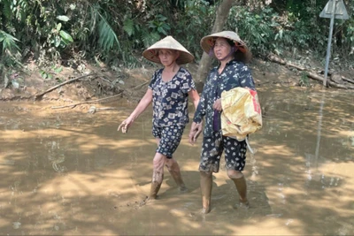 Mưa lũ gây ra ngập lụt tại nhiều nơi, tiềm ẩn nhiều nguy cơ dịch bệnh. 