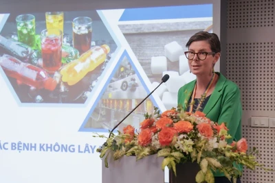 Tiến sĩ Angela Pratt, Trưởng Đại diện Tổ chức Y tế thế giới tại Việt Nam phát biểu.