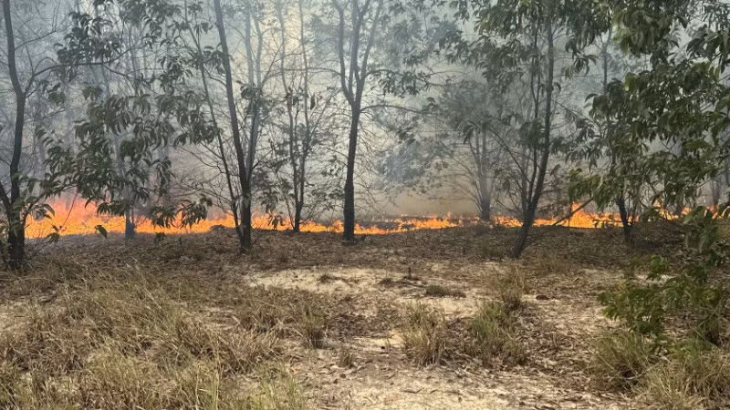 Đám cháy bùng phát, gây thiệt hại 9ha rừng.