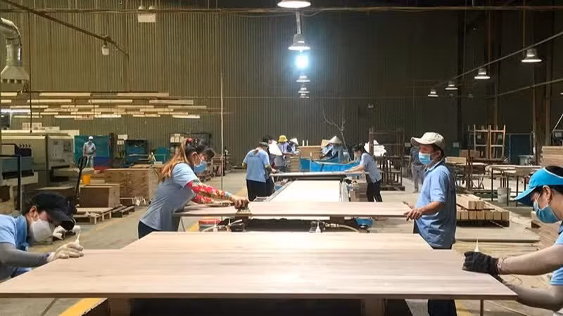 Chế biến gỗ xuất khẩu tại Công ty cổ phần gỗ Minh Dương (Bình Dương). (Ảnh: Vũ Hoàng)