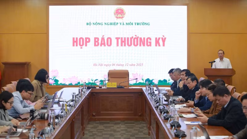 hop-bao-9522.jpg